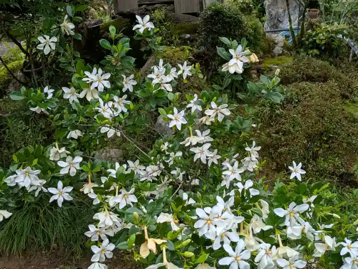 法華寺(岐阜県)