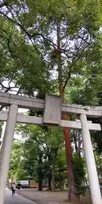 布多天神社の鳥居