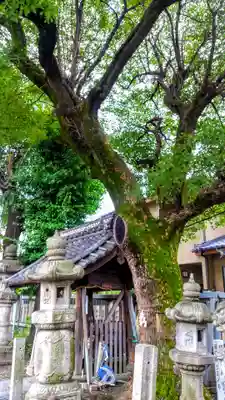 八幡社（枇杷島八幡社）のその他建物