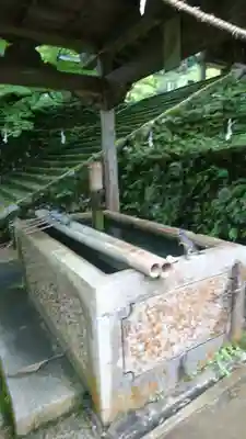 養父神社の手水舎