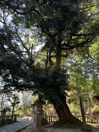 雨引千勝神社(茨城県)