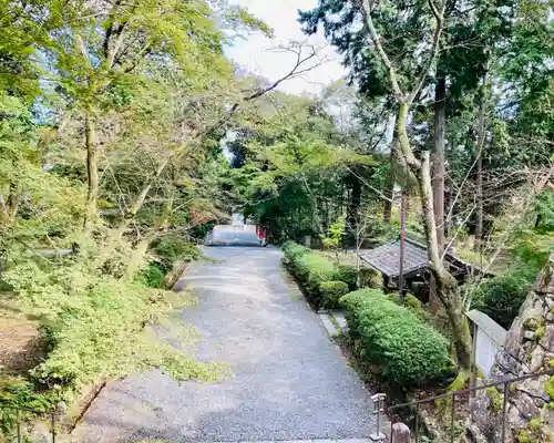 園城寺（三井寺）の建物その他