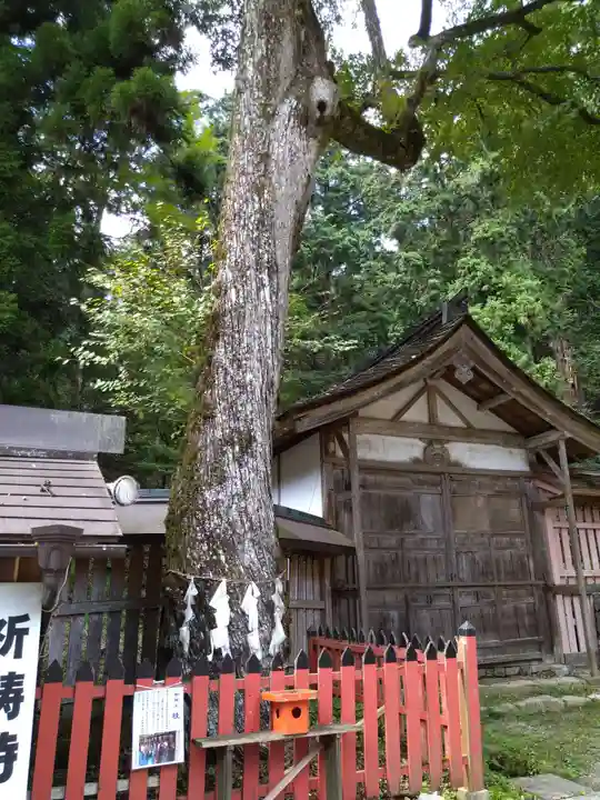 日吉大社(滋賀県)