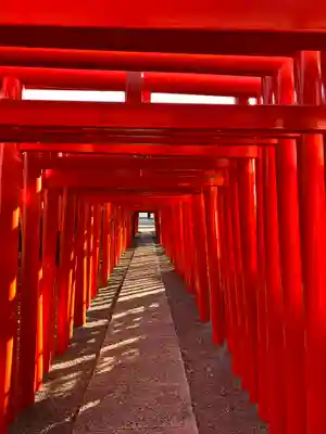 小泉稲荷神社の鳥居