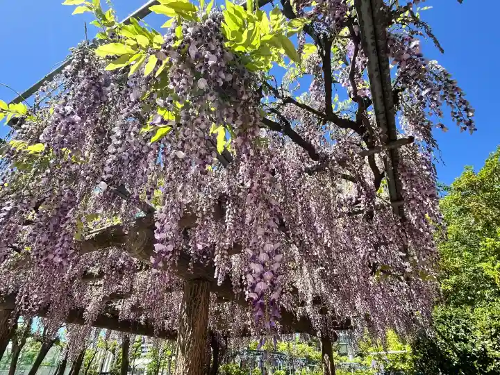 天満宮中之社(廃神社・石碑あり)(大阪府)