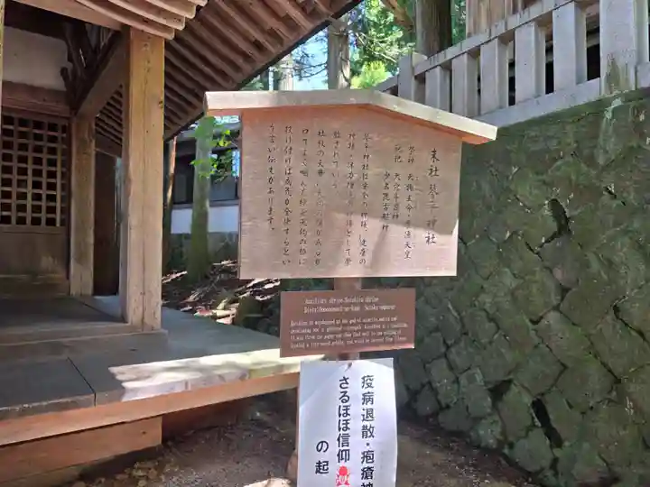櫻山八幡宮(岐阜県)