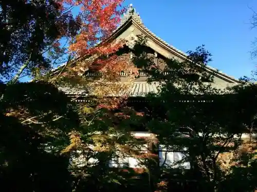 真正極楽寺（真如堂）のその他建物