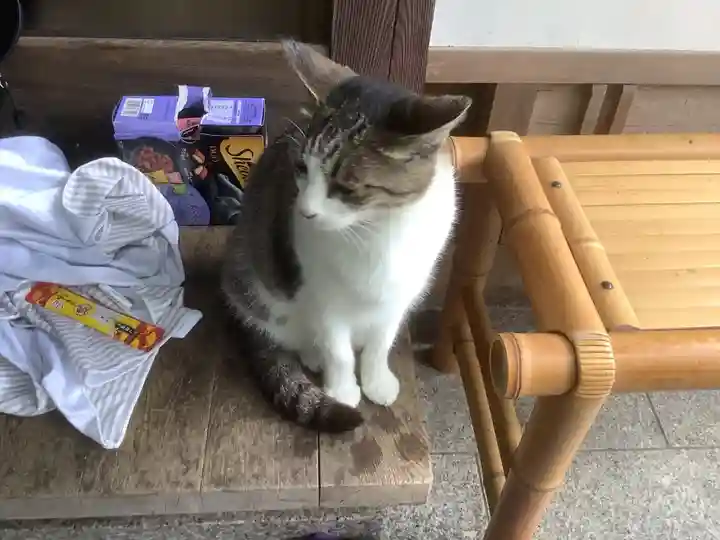 玉野御嶽神社の動物