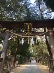 辛國神社の鳥居