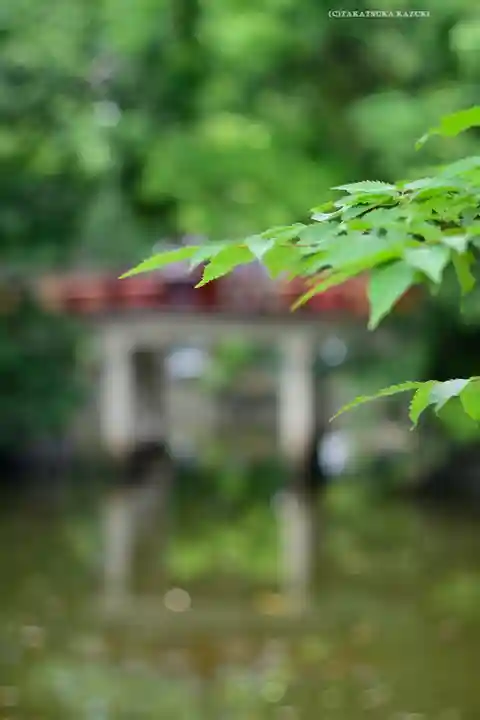 武蔵一宮氷川神社(埼玉県)