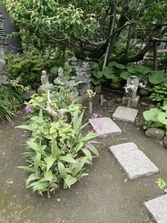 宝戒寺の{uncategorized: "未分類", other: "その他", undefined: "問題あり", building: "その他建物", grave: "お墓", sacred_gate: "鳥居", guardian: "狛犬", statue: "像", buddha: "仏像", history: "歴史", nature: "自然", garden: "庭園", animal: "動物", pagoda: "塔", temizu: "手水舎", mountain_gate: "山門・神門", sanctuary: "本殿・本堂", subordinate: "末社・摂社", art: "芸術", scenery: "景色", jizo: "地蔵", ema: "絵馬", goshuin: "御朱印", omikuji: "おみくじ", items: "授与品その他", amulet: "お守り", goshuincho: "御朱印帳", eats: "食事", festival: "お祭り", votive_dance: "神楽", shichigosan: "七五三参", wedding: "結婚式", experience: "体験その他", initially: "初詣", around: "周辺", anti_infection: "感染症対策"}