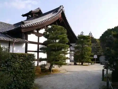 隨心院（随心院）の本殿・本堂