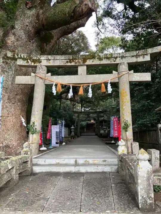 仁井田神社(高知県)