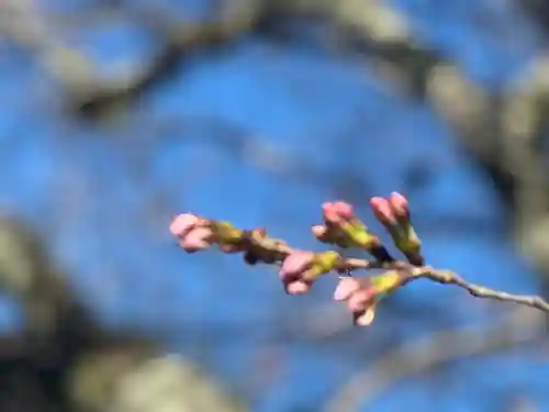 伊勢の国 四天王寺(三重県)