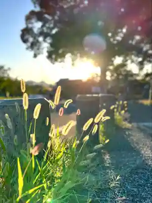 白鳥神社(長野県)