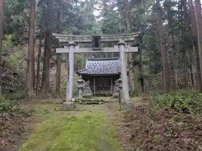 白山神社の{uncategorized: "未分類", other: "その他", undefined: "問題あり", building: "その他建物", grave: "お墓", sacred_gate: "鳥居", guardian: "狛犬", statue: "像", buddha: "仏像", history: "歴史", nature: "自然", garden: "庭園", animal: "動物", pagoda: "塔", temizu: "手水舎", mountain_gate: "山門・神門", sanctuary: "本殿・本堂", subordinate: "末社・摂社", art: "芸術", scenery: "景色", jizo: "地蔵", ema: "絵馬", goshuin: "御朱印", omikuji: "おみくじ", items: "授与品その他", amulet: "お守り", goshuincho: "御朱印帳", eats: "食事", festival: "お祭り", votive_dance: "神楽", shichigosan: "七五三参", wedding: "結婚式", experience: "体験その他", initially: "初詣", around: "周辺", anti_infection: "感染症対策"}