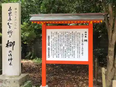 熊野速玉大社の歴史