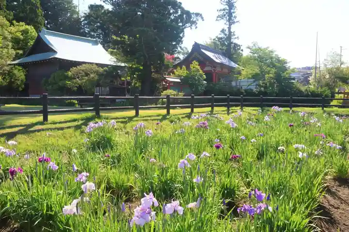 大鏑矢神社の景色
