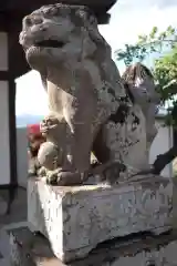 浅間神社の狛犬