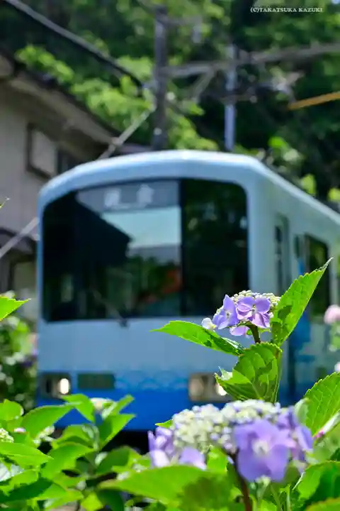 御霊神社の周辺