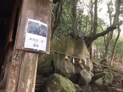 神谷神社のその他建物