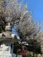 太山寺の自然