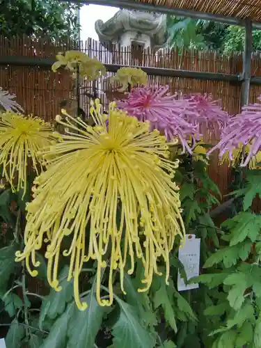 八幡八雲神社の庭園