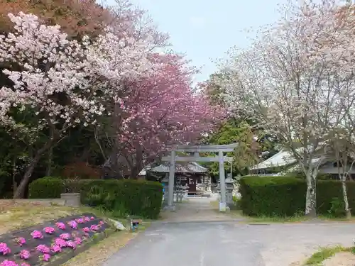 立志神社の鳥居