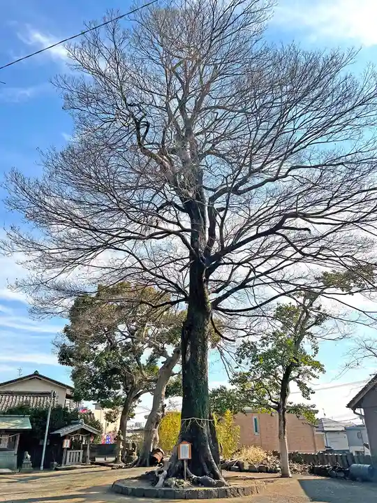 伊勢天照御祖神社(大石神社)(福岡県)