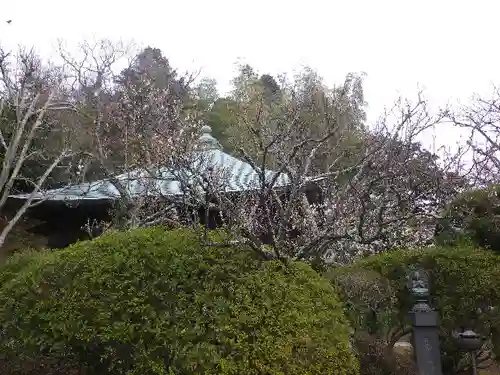 浄光明寺の庭園