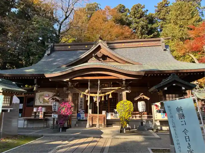 駒形神社(岩手県)