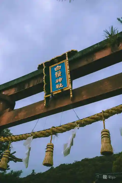 白鬚神社(滋賀県)