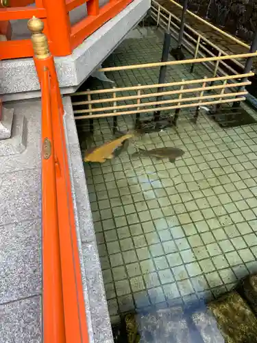 頂法寺（六角堂）(京都府)