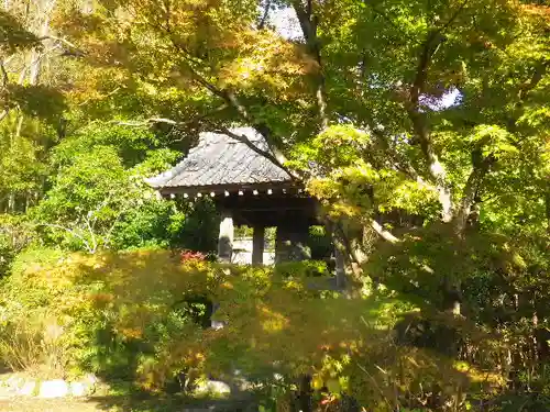 浄光明寺の自然