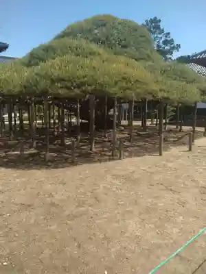無能寺(福島県)
