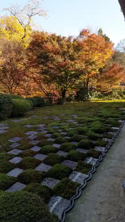 東福禅寺(東福寺)(京都府)