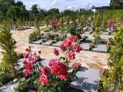 円成寺(滋賀県)