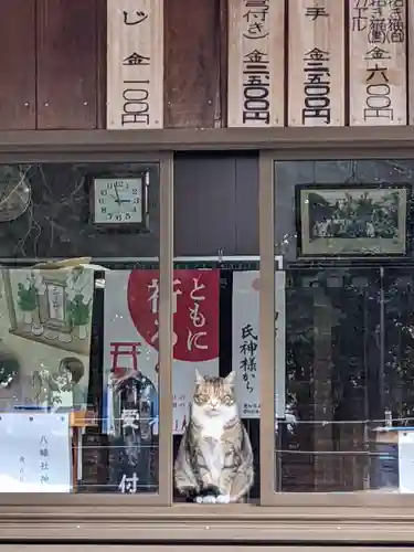 八幡社（柏井町）の動物