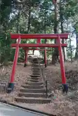 河口浅間神社の鳥居