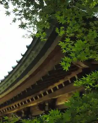 岩殿山安楽寺（吉見観音）(埼玉県)