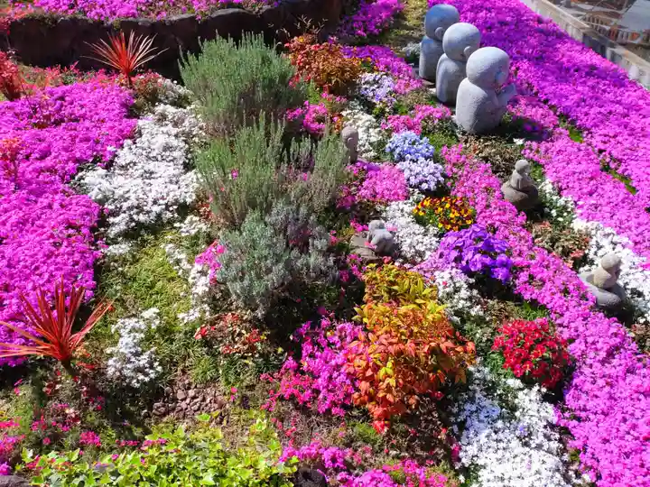寿量山 速成寺(奈良県)