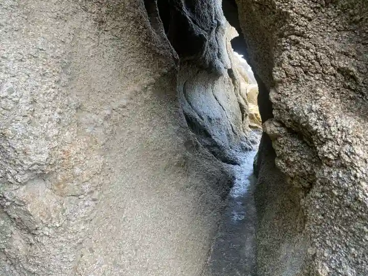 西濱神社の{uncategorized: "未分類", other: "その他", undefined: "問題あり", building: "その他建物", grave: "お墓", sacred_gate: "鳥居", guardian: "狛犬", statue: "像", buddha: "仏像", history: "歴史", nature: "自然", garden: "庭園", animal: "動物", pagoda: "塔", temizu: "手水舎", mountain_gate: "山門・神門", sanctuary: "本殿・本堂", subordinate: "末社・摂社", art: "芸術", scenery: "景色", jizo: "地蔵", ema: "絵馬", goshuin: "御朱印", omikuji: "おみくじ", items: "授与品その他", amulet: "お守り", goshuincho: "御朱印帳", eats: "食事", festival: "お祭り", votive_dance: "神楽", shichigosan: "七五三参", wedding: "結婚式", experience: "体験その他", initially: "初詣", around: "周辺", anti_infection: "感染症対策"}