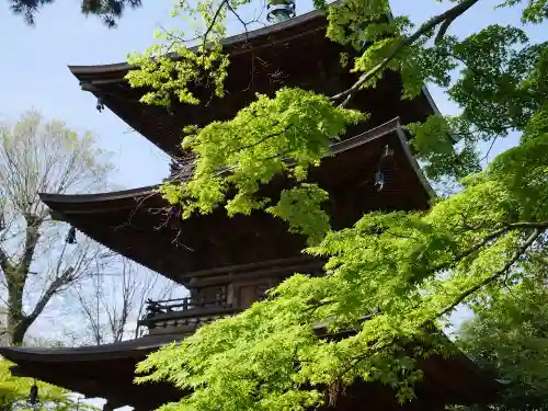 豪徳寺のその他建物