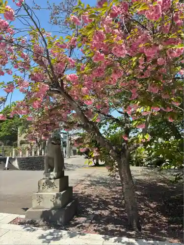 住吉神社(北海道)