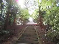 神明神社の建物その他