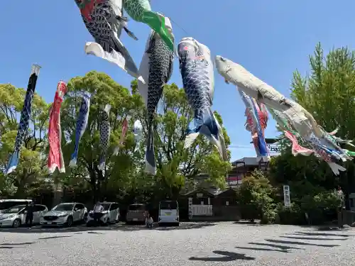 白旗神社の{uncategorized: "未分類", other: "その他", undefined: "問題あり", building: "その他建物", grave: "お墓", sacred_gate: "鳥居", guardian: "狛犬", statue: "像", buddha: "仏像", history: "歴史", nature: "自然", garden: "庭園", animal: "動物", pagoda: "塔", temizu: "手水舎", mountain_gate: "山門・神門", sanctuary: "本殿・本堂", subordinate: "末社・摂社", art: "芸術", scenery: "景色", jizo: "地蔵", ema: "絵馬", goshuin: "御朱印", omikuji: "おみくじ", items: "授与品その他", amulet: "お守り", goshuincho: "御朱印帳", eats: "食事", festival: "お祭り", votive_dance: "神楽", shichigosan: "七五三参", wedding: "結婚式", experience: "体験その他", initially: "初詣", around: "周辺", anti_infection: "感染症対策"}