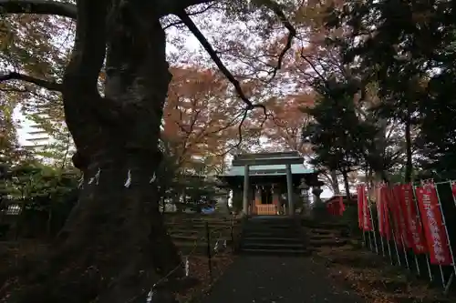 愛宕神社の景色