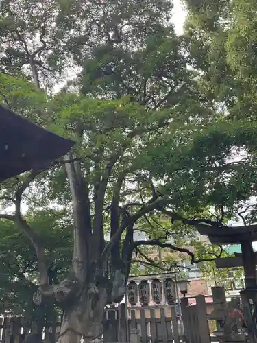 満足稲荷神社の自然