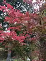 和氣神社(和気神社)の自然