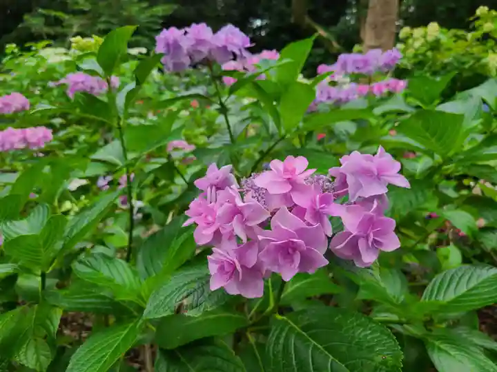 筥崎宮(福岡県)